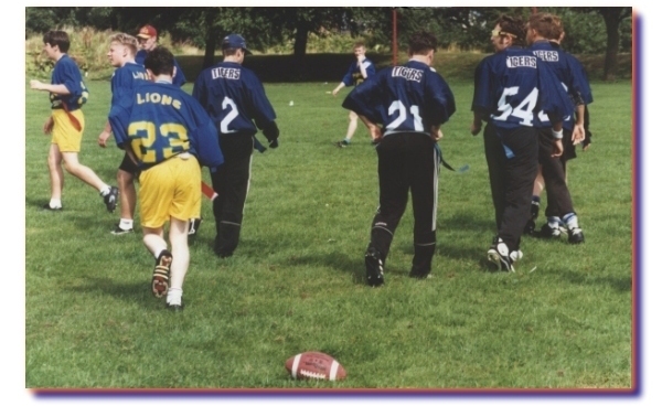 Click to go to the Tigers website!